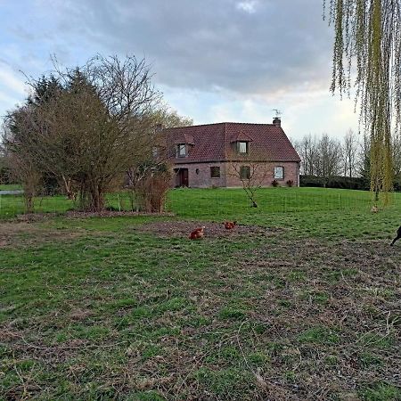 Les Chambres D'Hotes Du Vert Galant " L'Allee Des Champs" Verlinghem ภายนอก รูปภาพ