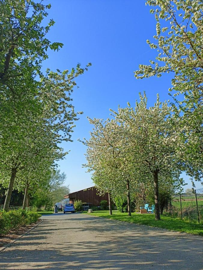 Les Chambres D'Hotes Du Vert Galant " L'Allee Des Champs" Verlinghem ภายนอก รูปภาพ