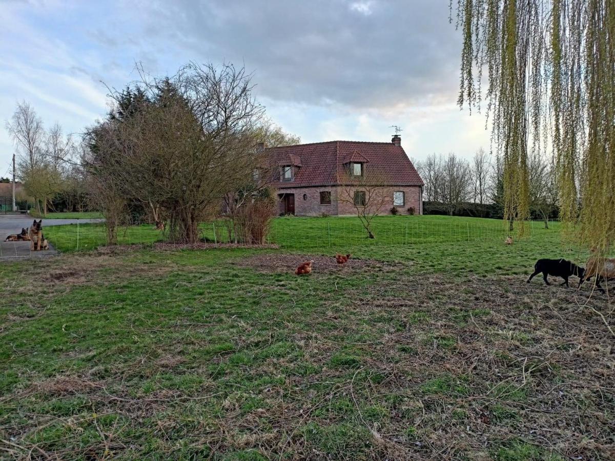 Les Chambres D'Hotes Du Vert Galant " L'Allee Des Champs" Verlinghem ภายนอก รูปภาพ