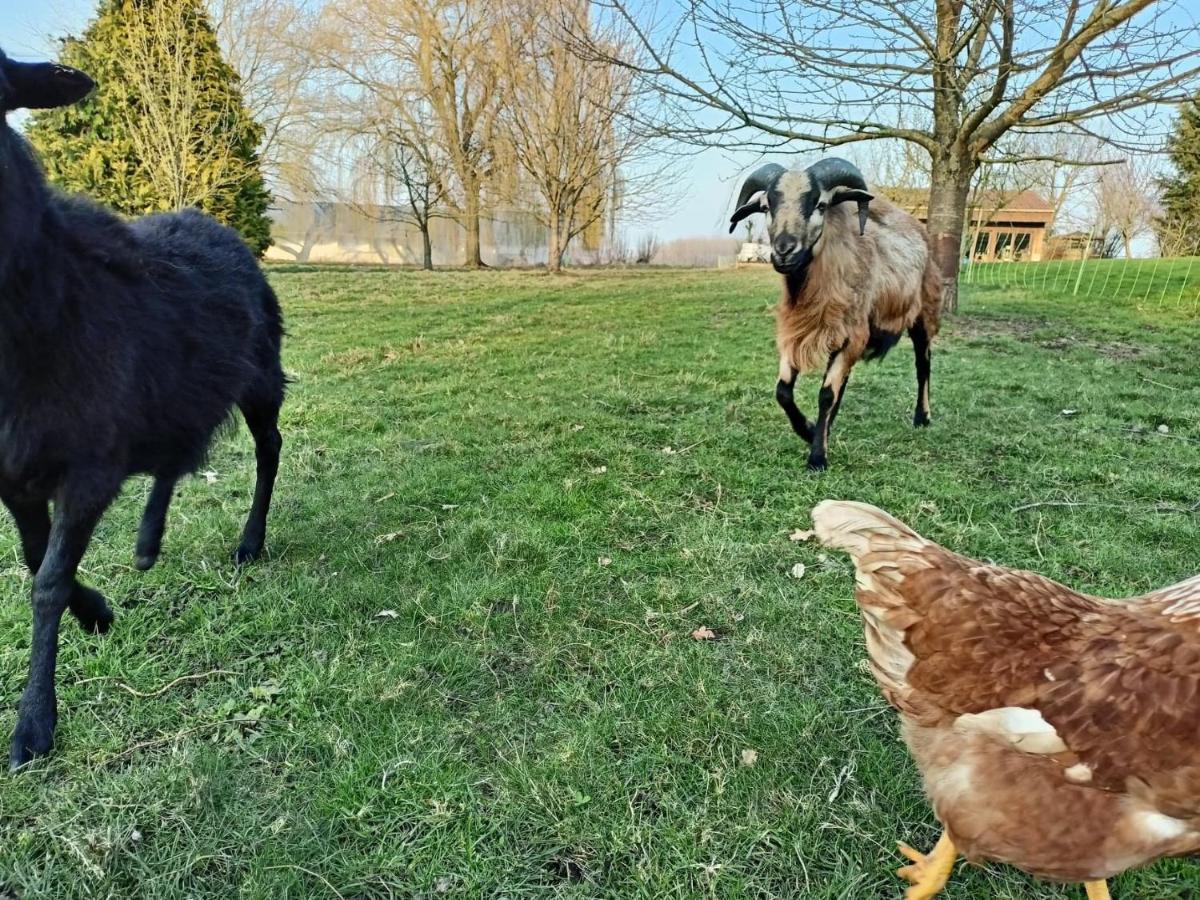 Les Chambres D'Hotes Du Vert Galant " L'Allee Des Champs" Verlinghem ภายนอก รูปภาพ